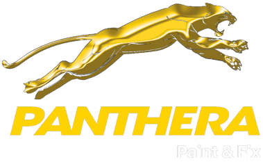 Panthera – Paint & Fix